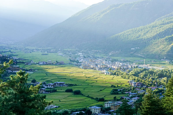 Paro Valley with Green paddy field