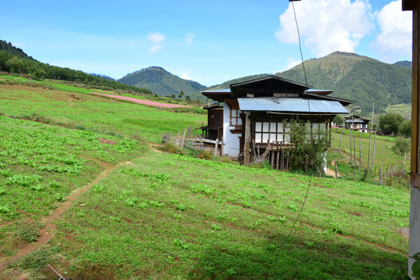 Traditional Bhutanese House