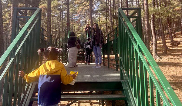 Walking trail inside the Takin Preservation Centre