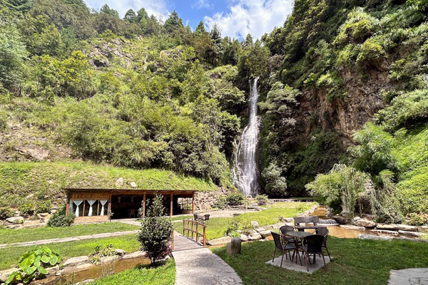 Waterfall View