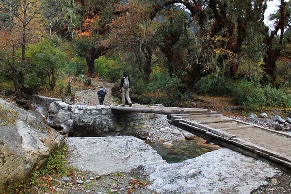 Sagala Trek in Bhutan. Detailed itinerary and costing