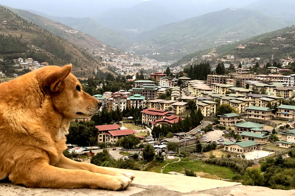 Thimphu Valley View from Changangkha Lhakhang