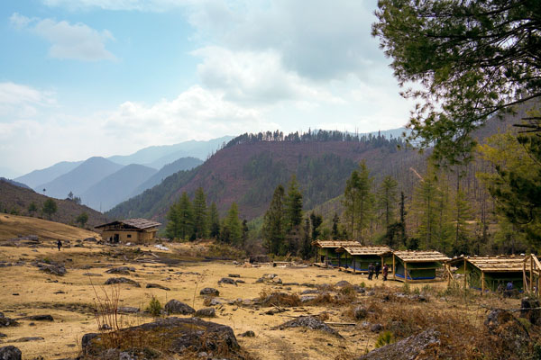 Katsho Eco Camp