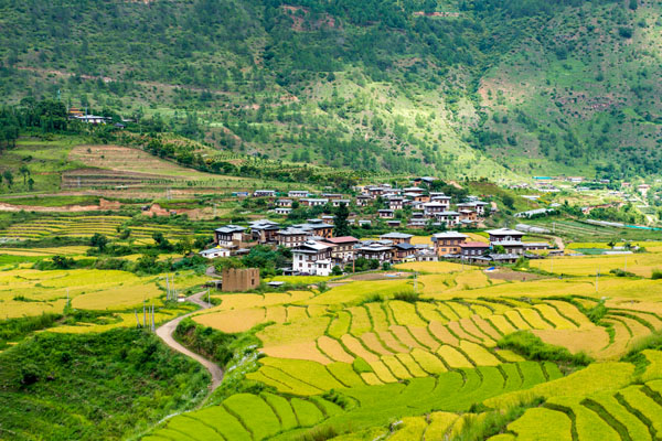 6 Days Bhutan Tour detailed costing and itinerary