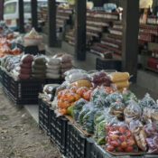 Local Market