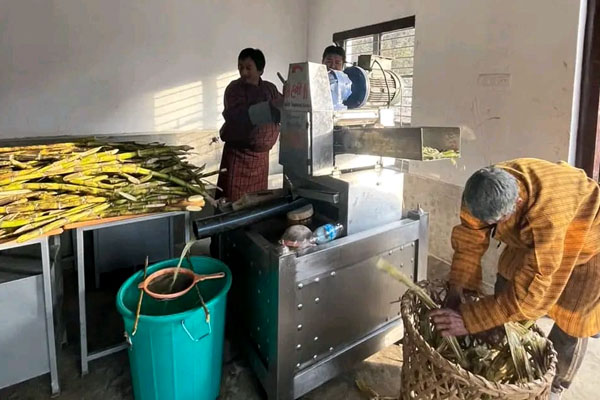 Production of Tshatsi Buram (a sugarcane juice dessert)