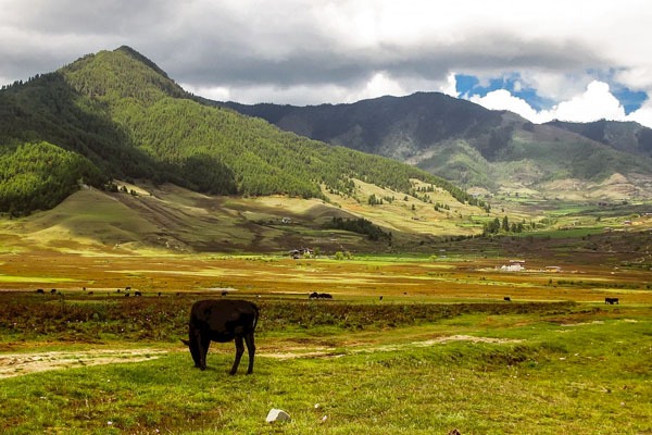 Phobjikha Valley