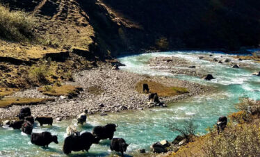 Dodena Trek Route in the east