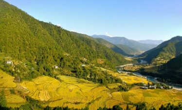 View of Punakha valley during solo trip