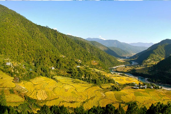View of Punakha valley during solo trip