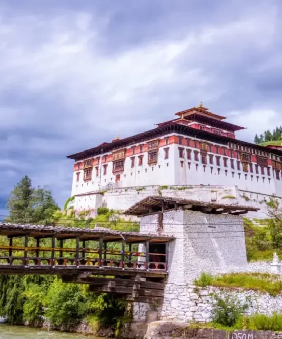 How to Travel Bhutan from South Africa?